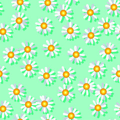 Daisy chamomile seamless vector pattern
- 450580556