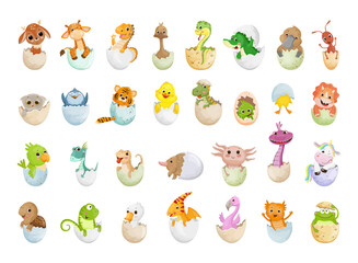 Vector collection of animals in eggshell. Colorful childrens illustrations.