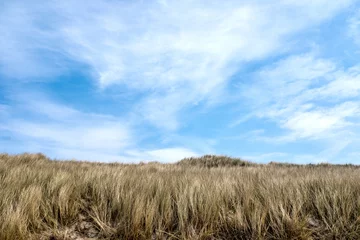 Foto op Canvas Dunes at the beach of Wijk aan Zee, Noord-Holland Province, The Netherlands © Holland-PhotostockNL