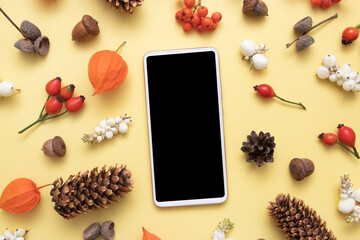 Autumn layout with physalis, cones, leaves, rowan. Flat lay of gifts of autumn on a yellow background