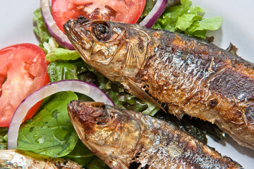 Fried fish, plate of fried fish with salad and avocado, close up view