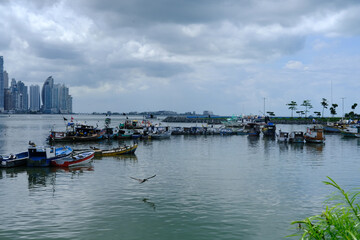 Small fishing boats in the seafood market of Panama with the skyline in the background