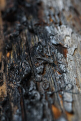 Wood background with faded color and cracked texture.