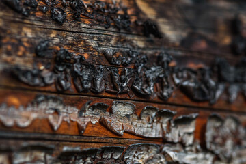 Wood background with faded color and cracked texture.