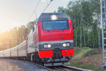 Obraz premium Passenger train moves in the forest.
