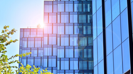 Fototapeta premium Modern glass office building with green leaves. Eco building and greens plants in city concept.