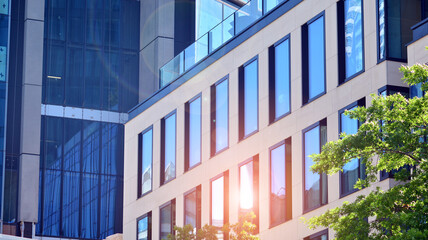 Modern glass office building with green leaves. Eco building  and greens  plants  in city concept.