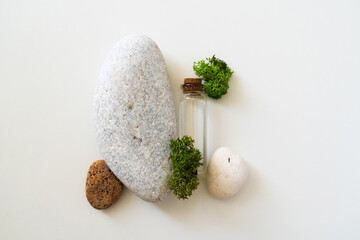 Sea moss personal care. Glass cork bottle with transparent serum and sea moss on white background. Ingredient for skincare