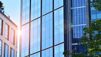 Modern glass office building with green leaves. Eco building  and greens  plants  in city concept.