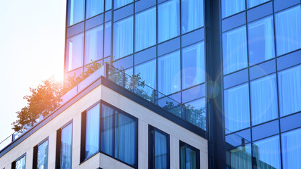 Fototapeta na wymiar Modern glass office building with green leaves. Eco building and greens plants in city concept.