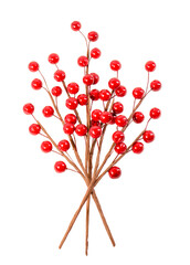 red berries on a branch isolated on a white background, Christmas decoration