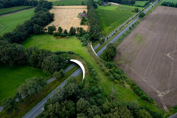 Freeway with wildlife crossing forming a safe natural corridor bridge for animals to migrate between conservancy areas. Environment nature reserve infrastructure ecopassage. - obrazy, fototapety, plakaty