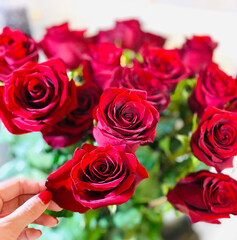 bouquet of red roses