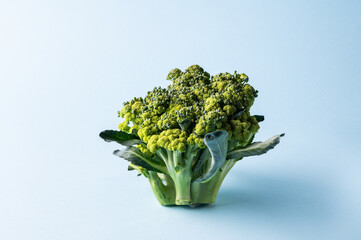 Broccoli on blue background, close up. Healthy food concept. Market vegetable. Place for text. Cabbage on coloured background