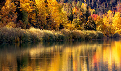 Autumn falls. Panorama of a colorful forest and mirror reflection in the lake.