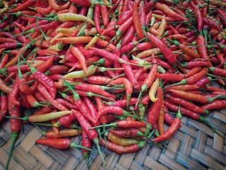 red hot chili peppers