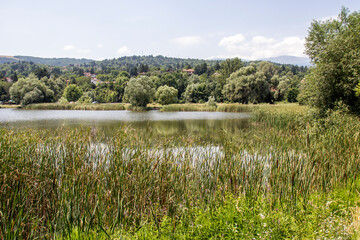 Fototapeta na wymiar Summer view of Pancharevo lake, Bulgaria