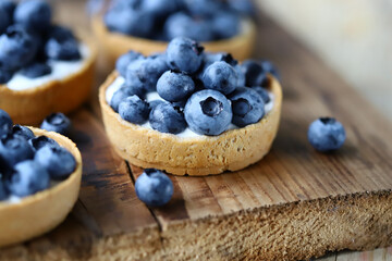 Blueberry tartlets. Healthy summer dessert with berries.