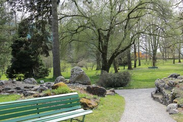 bench in the garden