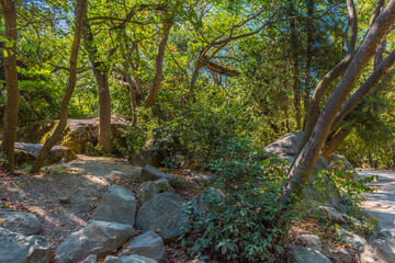 Alupkinsky Park (also known as Vorontsov Park)