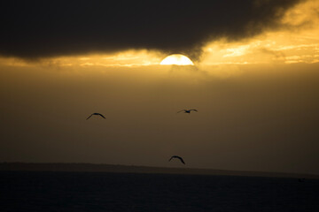 sunset over the sea