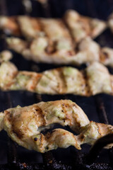 grilled meat on the grill