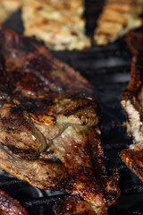 grilled meat on the grill