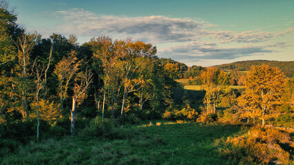 Fototapeta premium A cloudy sky over a hill near Callicoon, in the Catskills area of upstate, New York