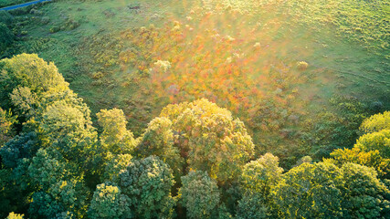 Naklejka na ściany i meble Aerial shot of treetops near Callicoon, in the Catskills area of upstate, New York
