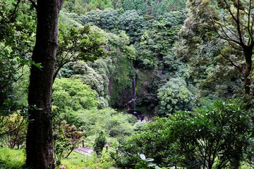 裏見の滝展望台からみる風景