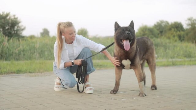 girl stroking the dog of the American Akita. a dog is a friend of man, safe. on a leash.