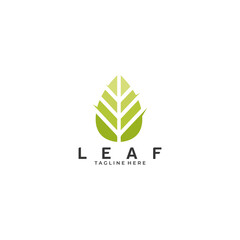 Fototapeta premium Leaf logo icon vector isolated