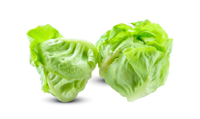 Butterhead isolated on white background.