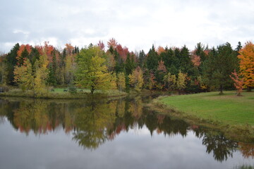 autumn landscape with lake