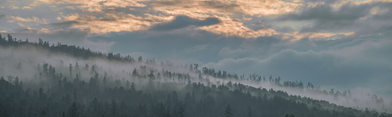 Panoramic view of mountain taiga in fog, sunset light