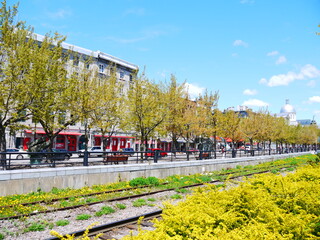 モントリオールの並木道