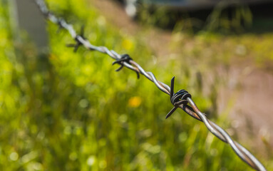 Minimalist photograph of barbed wire in the field.