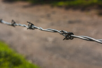 Minimalist photograph of barbed wire in the field.