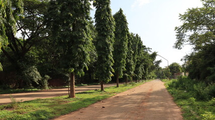 path in the park Bangalore attractive background
