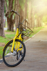 Yellow bicycle still on road in public garden with soft warm light