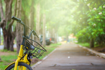 Yellow bicycle still on road in public garden with soft warm light