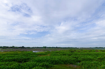 Nature landscape lake water grass and sky with cloud