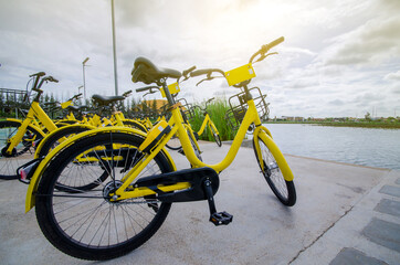Yellow bicycle still in public garden with soft warm light morning