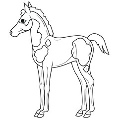 Coloring page with horse. Painting for children.