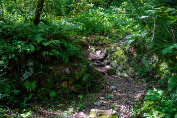 富山県中新川郡上市町の中山から立山の剱岳を望む登山をしている風景 A view of mountain climbing with a view of Tsurugidake in Tateyama from Nakayama in Kamiichi Town, Nakashinagawa County, Toyama Prefecture.