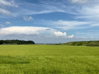 green field and blue sky