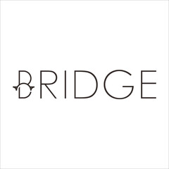 typography BRIDGE logo. Bridge logo design template