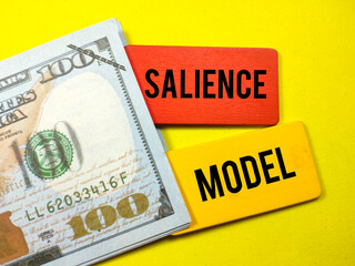 Business concept.Text SALIENCE MODEL writing on colored wooden board with fake money on yellow background.