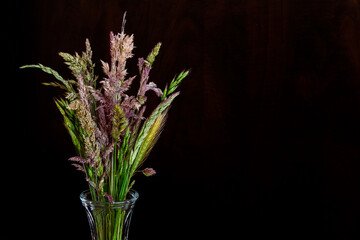 Bouquet of many types of wild grass flowers on black background; Group of golden, green, yellow and purple grass stems with seeds