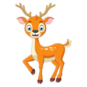 Cute baby deer cartoon isolated on white background